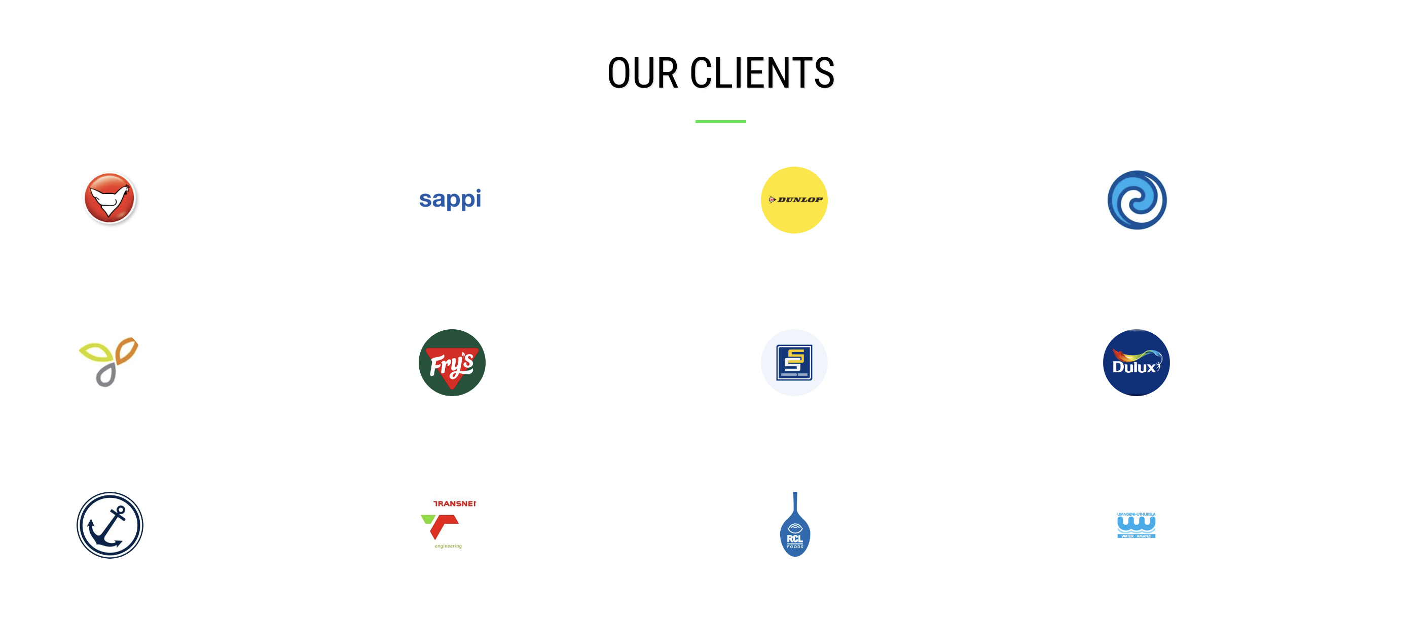 Selected Magnol clients including Sappi, Dunlop, Fry's, Dulux, Transnet Engineering, RCL Foods and Umgeni-uThukela Water